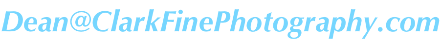 shapeimage_8_link_0